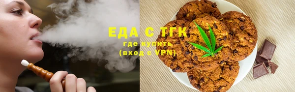 шишки Белокуриха