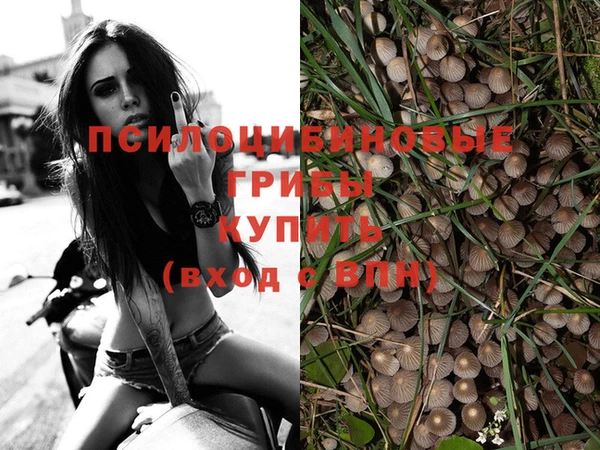 СК Балабаново